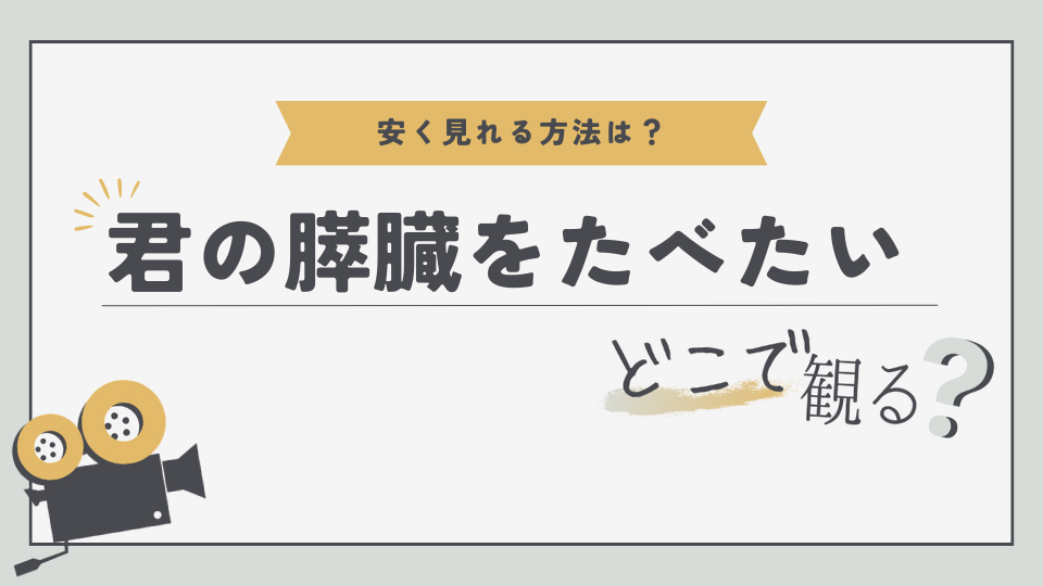 君の膵臓を食べたい　どこで観る？　無料視聴方法　見る方法